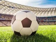 灰熊尝首败,火箭赢湖人,西部前六望,中国体彩,中国竞猜官网,中国体育竞猜平台,中国足球大发彩票网