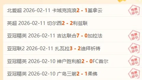 4月23日CBA季后赛：深圳对阵辽宁 沈梓捷亮点集锦